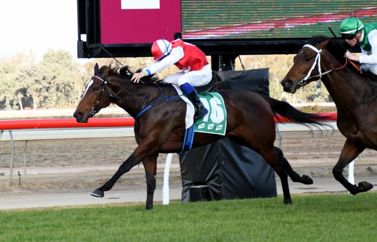Motorboat Steams Home At Albury