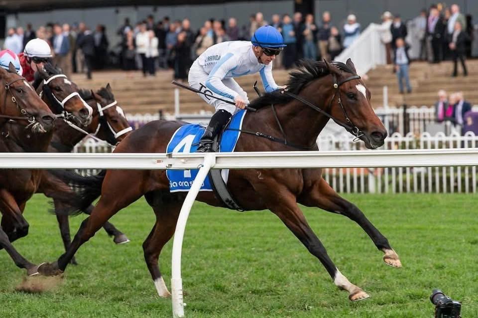 ROSEHILL WINNER NOW PUTTING ON A REAL “SHOW”