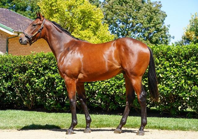 Fierce Impact / Celebrity Appeal '23