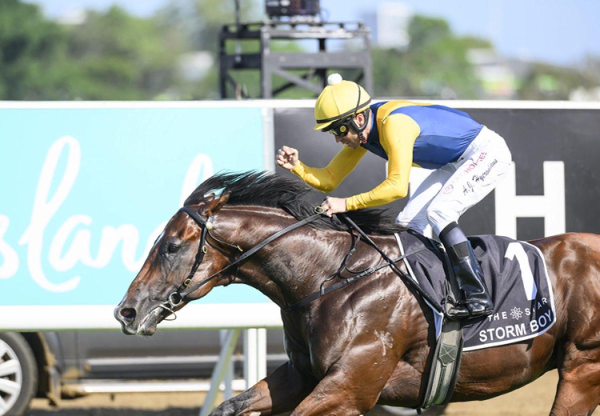 EXPRESS YOUR INTEREST: Magic Millions Yearling Sale 2026 - Our Sale, Your Success