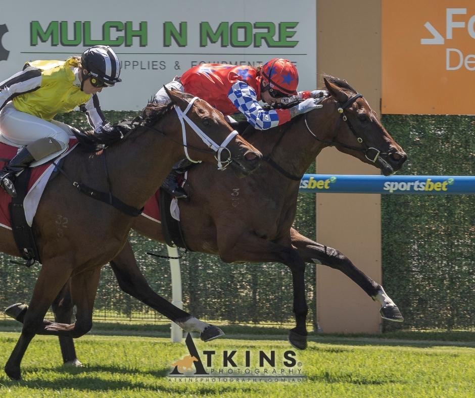 ABR Weekend Review